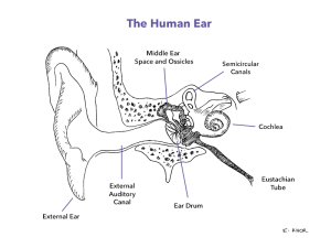 Hearing Loss
